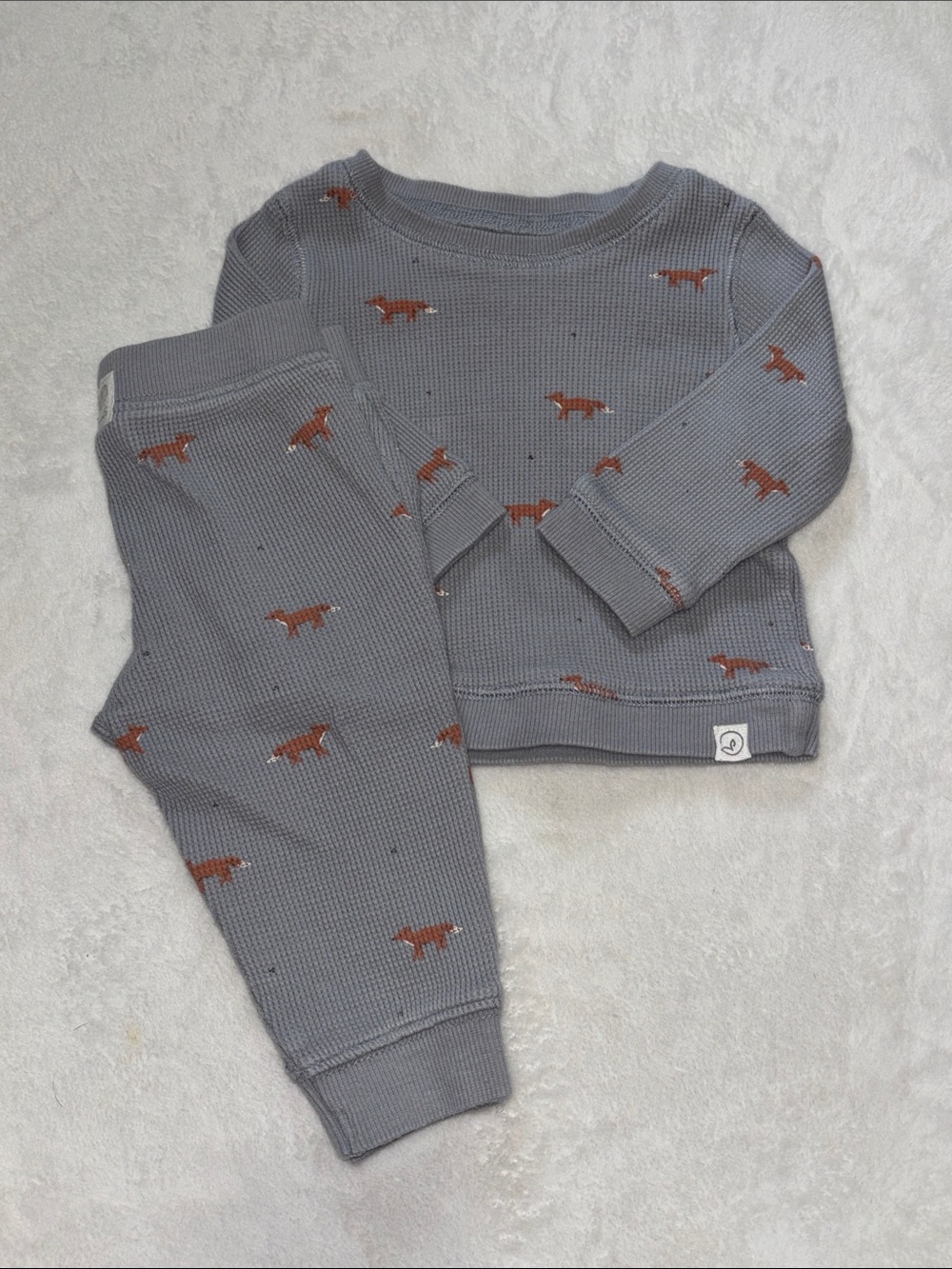 Carters little planet organic Blue Baby Two-Piece Fox Print Set